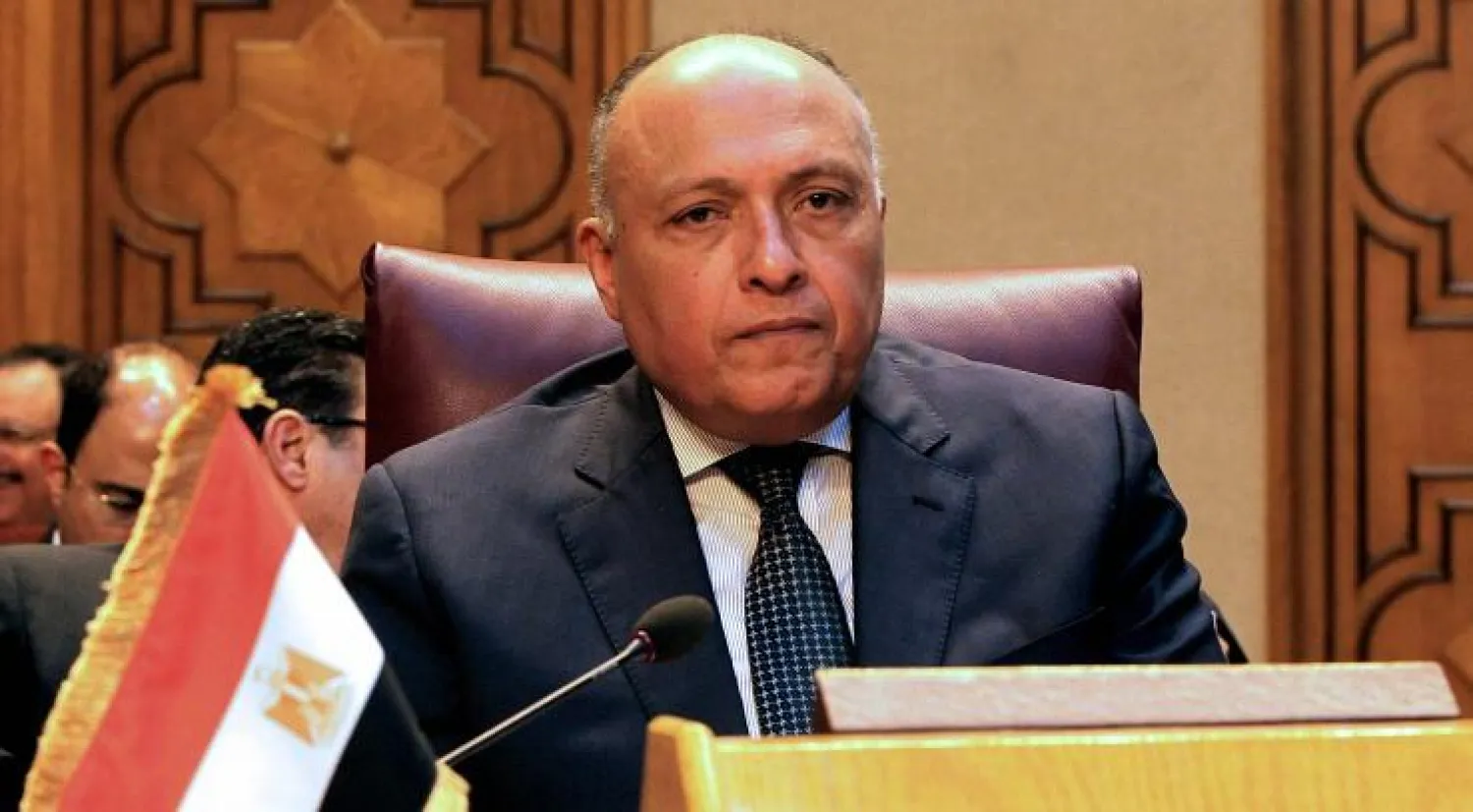 وزير الخارجية المصري يتوجه إلى روسيا لبحث دعم التعاون بين البلدين