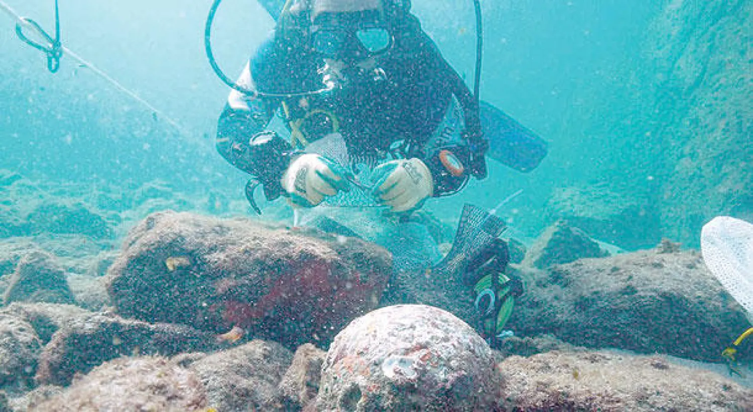 القطع الأثرية التي تم اكتشافها داخل السفينة