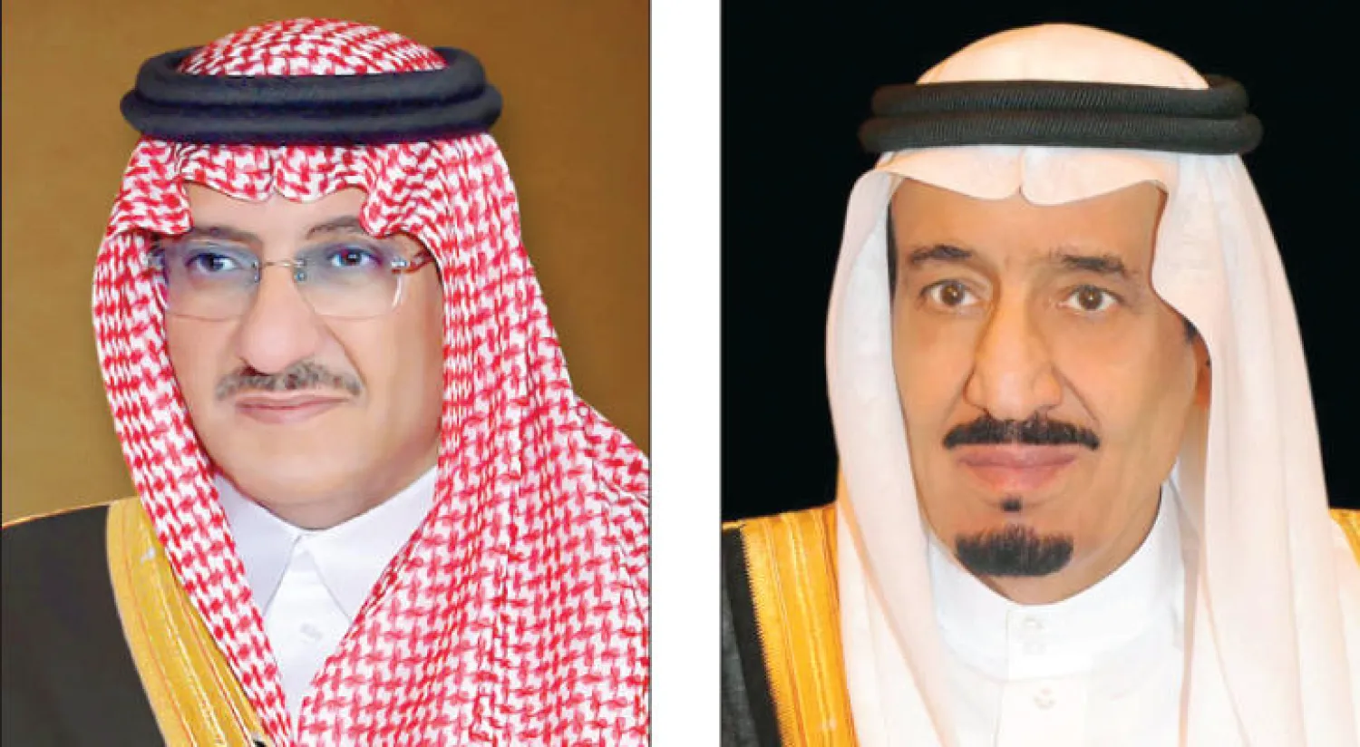 خادم الحرمين يعزي الرئيس الروسي في ضحايا الطائرة المنكوبة