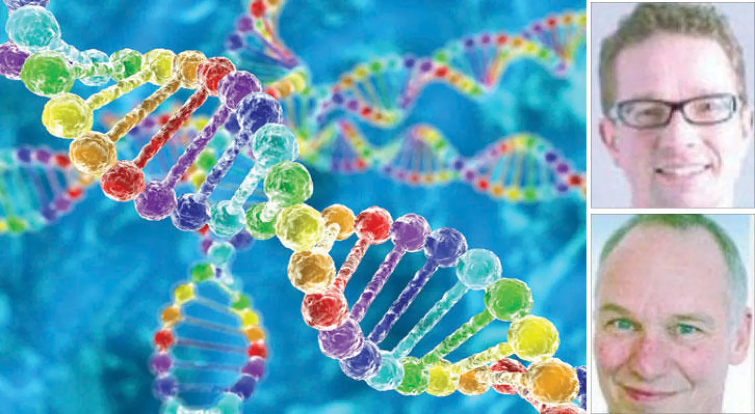 من الأسفل إلى الأعلى: د. هان جريت برونر و د. يورس فلتمان