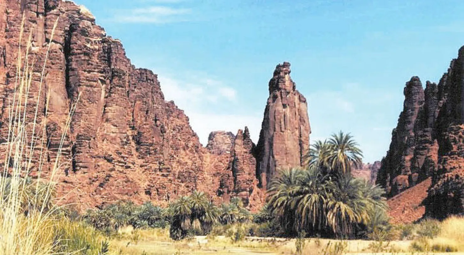 منظر من تبوك