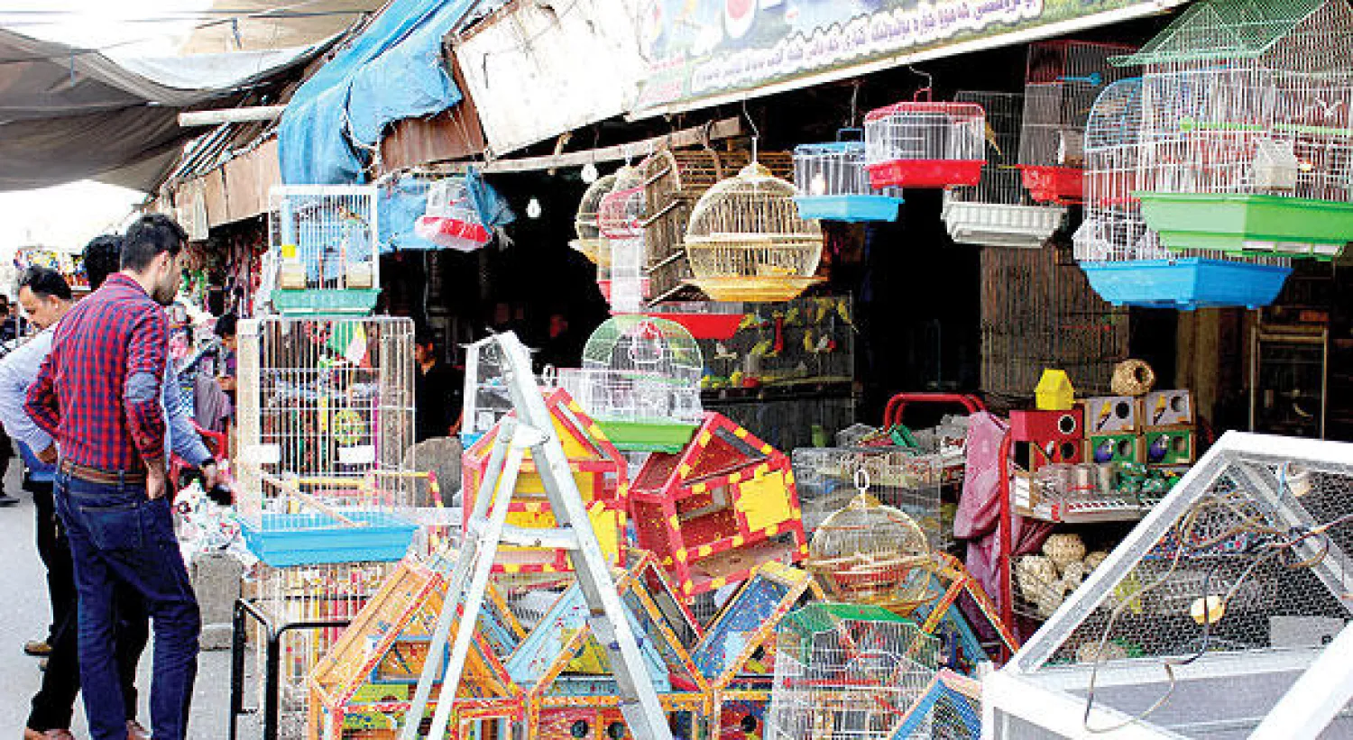 جانب من سوق أربيل لبيع الطيور