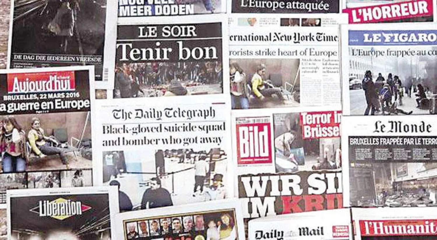 حاولت الصحف ومحطات التلفزة والإذاعة الاستفادة من آراء الخبراء والمحللين المعنيين لتسليط الضوء على هذه الهجمات