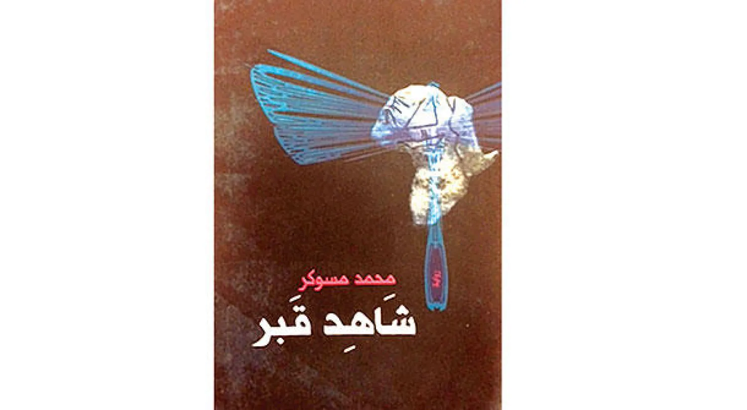 البيئة المحلية.. زخرفة أم وظيفة عضوية؟