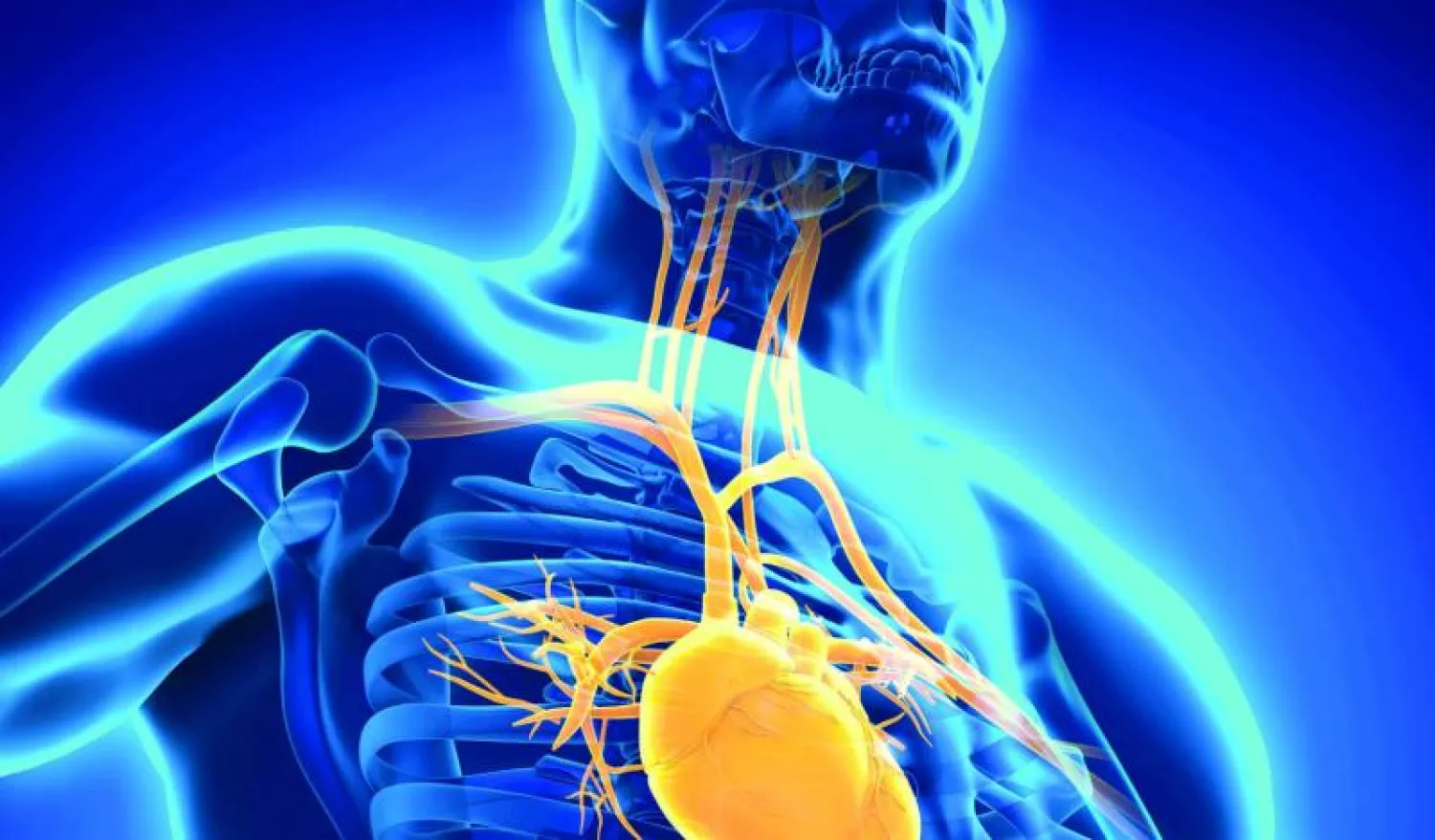 زراعة الصمام الأورطي.. اليوم وغدًا