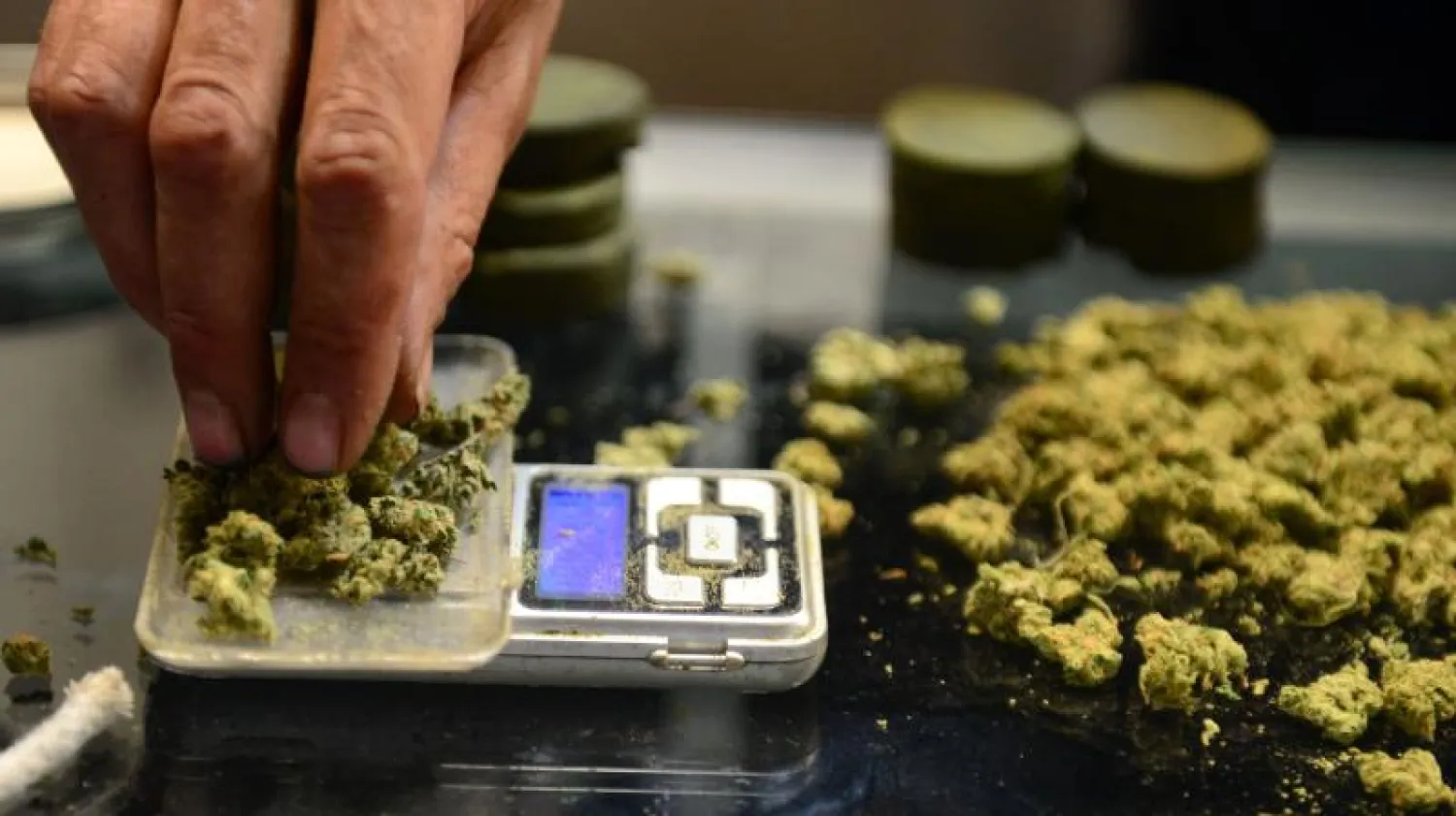 ألمانيا تخفف القيود على استخدام القنب للأغراض الطبية