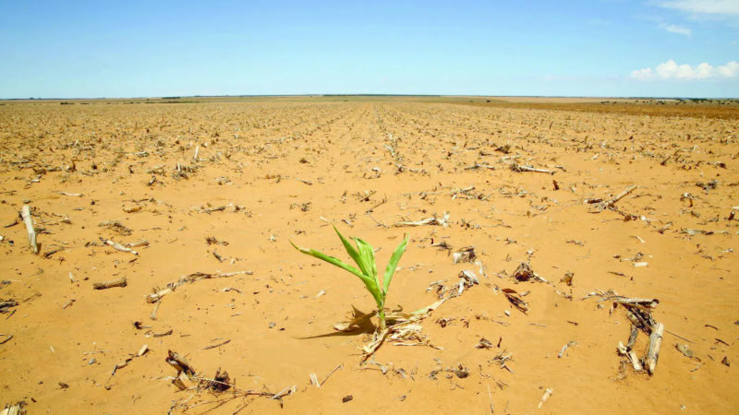 تعاني بلدان أفريقية من جفاف شديد مما يعرض الملايين من الأشخاص إلى خطر انعدام الأمن الغذائي