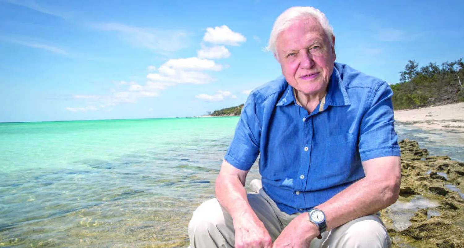 ريتشارد أتنبره خلال تصوير حلقات البرنامج الوثائقي «الحاجز المرجاني العظيم» (إ.ب.أ)