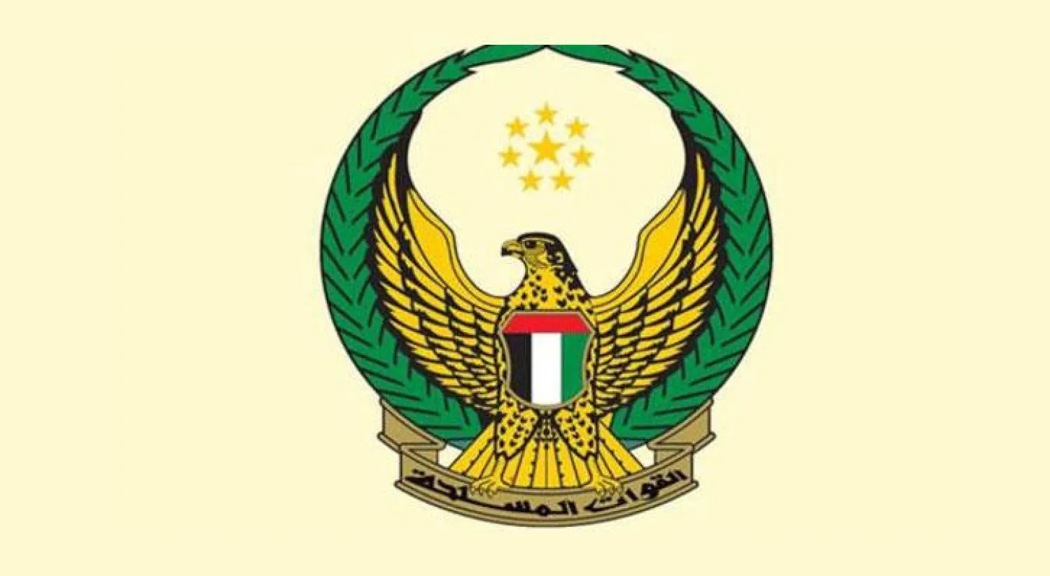 الإمارات: تحطم طائرة عسكرية ومقتل طاقمها