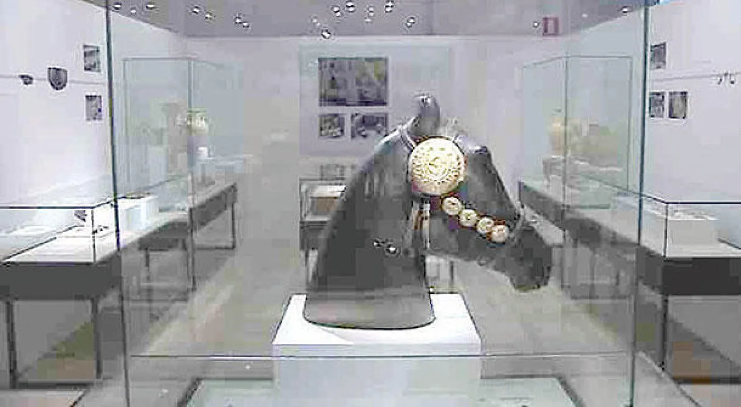 جانب من معرض ماجان