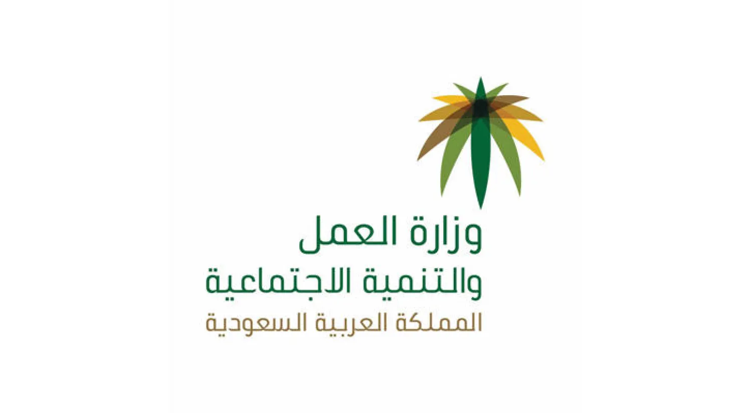 العمل والتنمية الاجتماعية» توضح: لم نتلقَ شكوى استقدام عاملة منزلية مُقعدة.. وما أثير سبق تداوله قبل نحو عامين