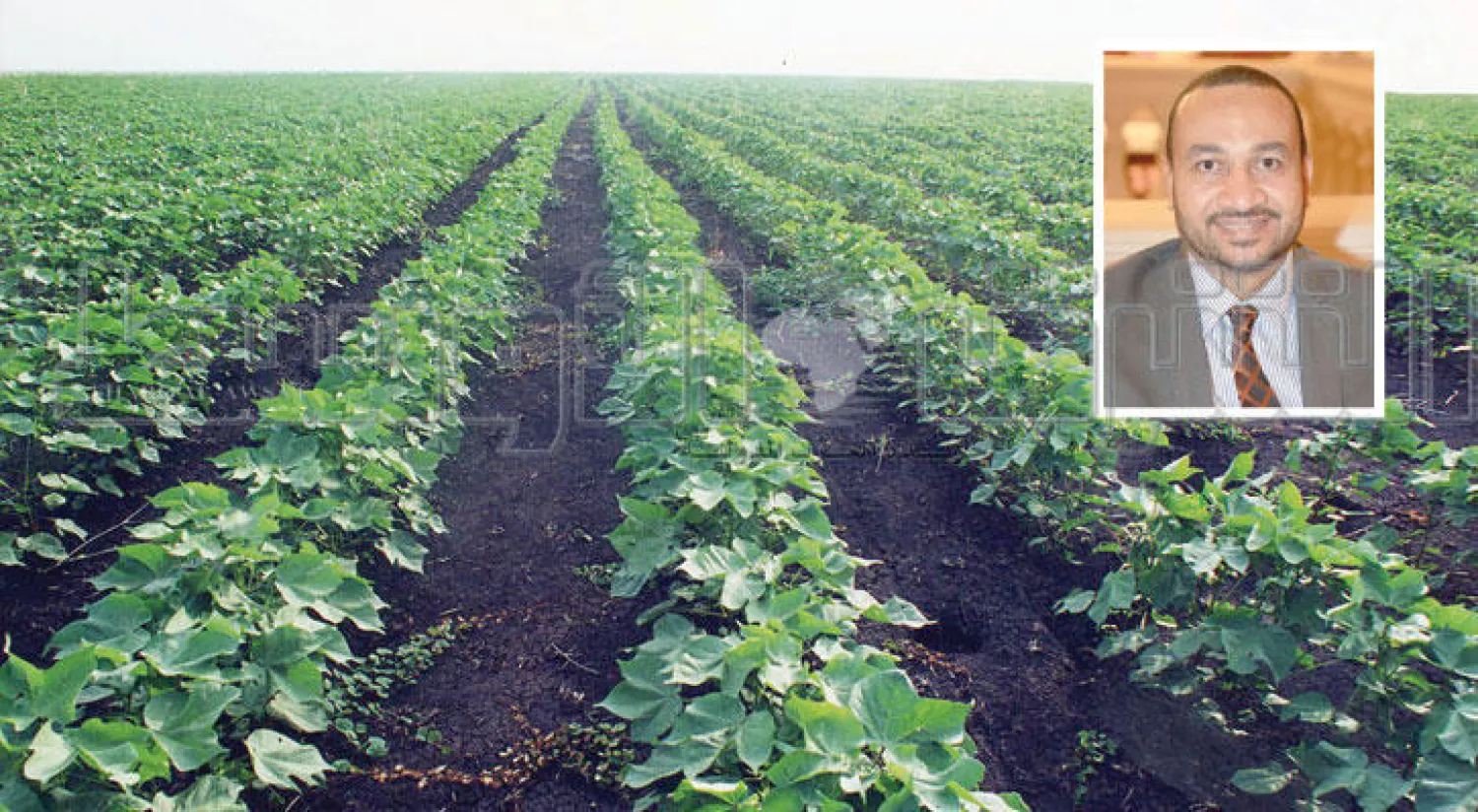 الاستثمار السعودي في السودان ينمو بنسبة تتجاوز الـ40 في المائة .. وفي الإطار أسامة فيصل وزير الدولة بوزارة الاستثمار السودانية المشرف على الاستثمارات السعودية بالسودان (تصوير بشير صالح)