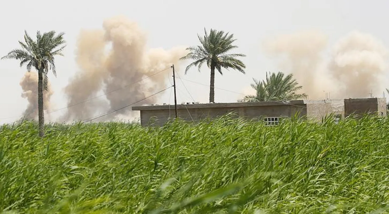 الأمم المتحدة: سكان الفلوجة العالقون يعيشون ظروفا معيشية رهيبة