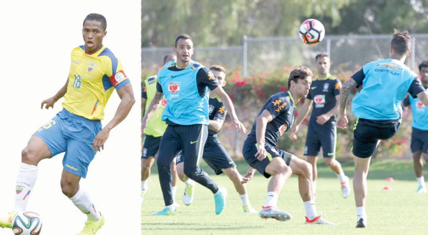 جيل دونغا الجديد يستهل مشواره امام الإكوادور (أ.ف.ب)  -  الإكوادور تعول على فالنسيا جناح مانشستر يونايتد («الشرق الأوسط})