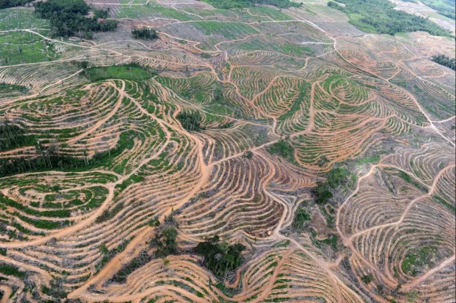 ارتفاع تكلفة الجرائم البيئية بنسبة 26 % عن العام الماضي