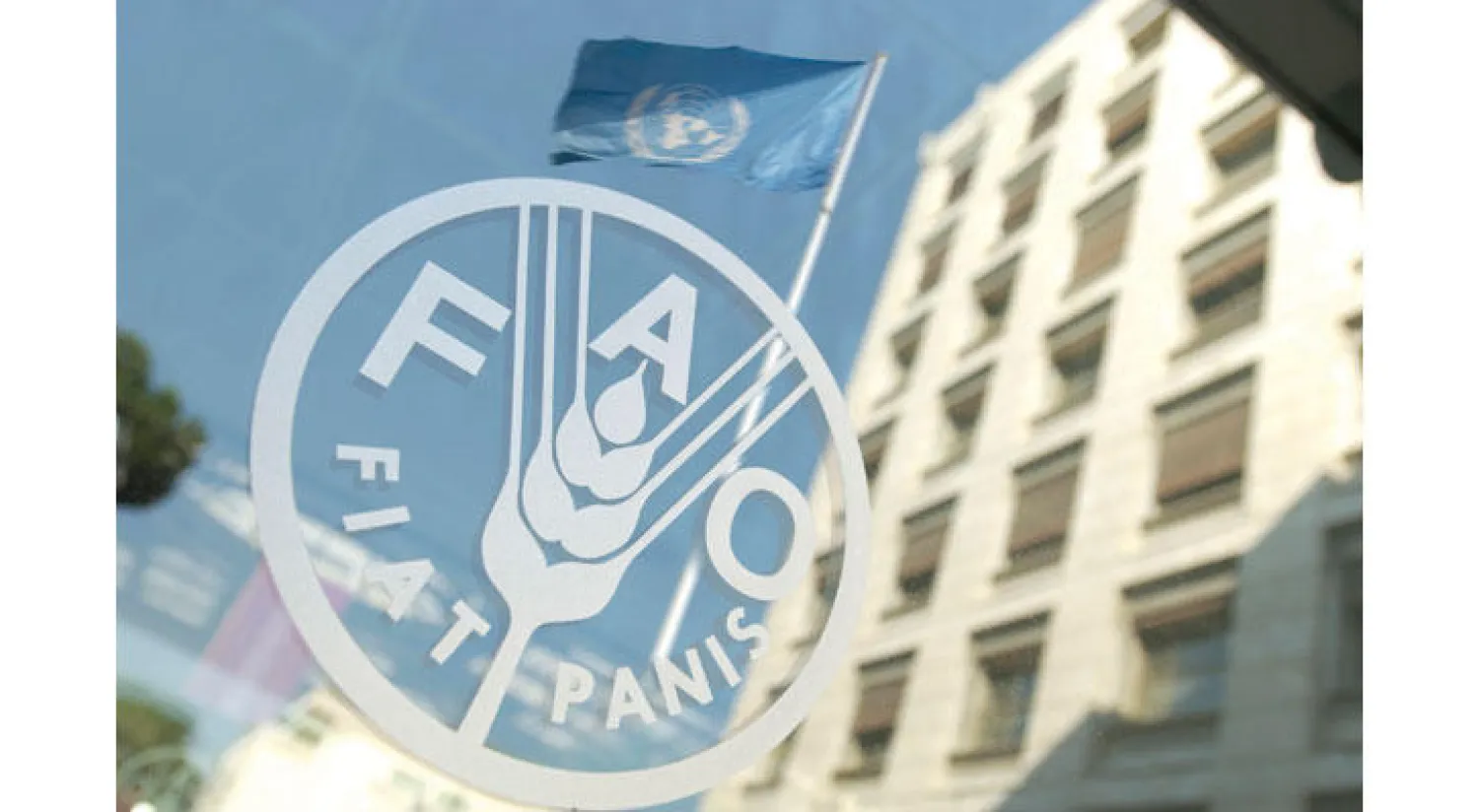 رغم التغير المناخي وارتفاع التعداد السكاني.. «الفاو» تتوقع استقرار أسعار الغذاء