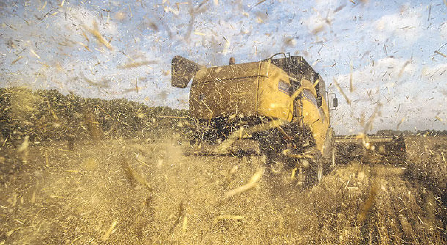 حصادة دون سائق