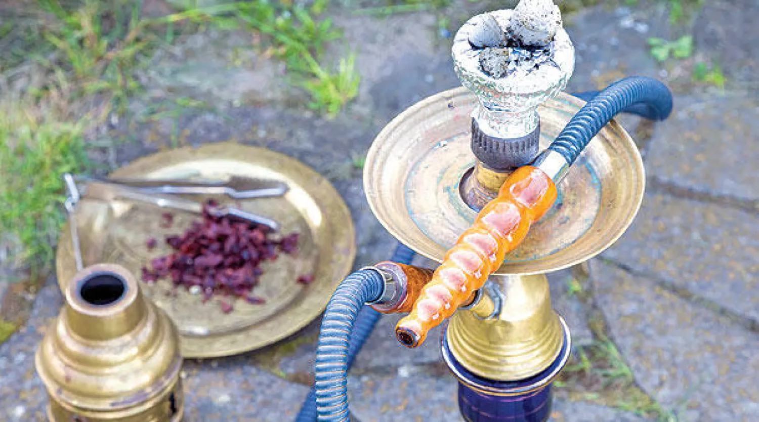 الحملة قللت نسبة المدخنين من الشباب الألمان