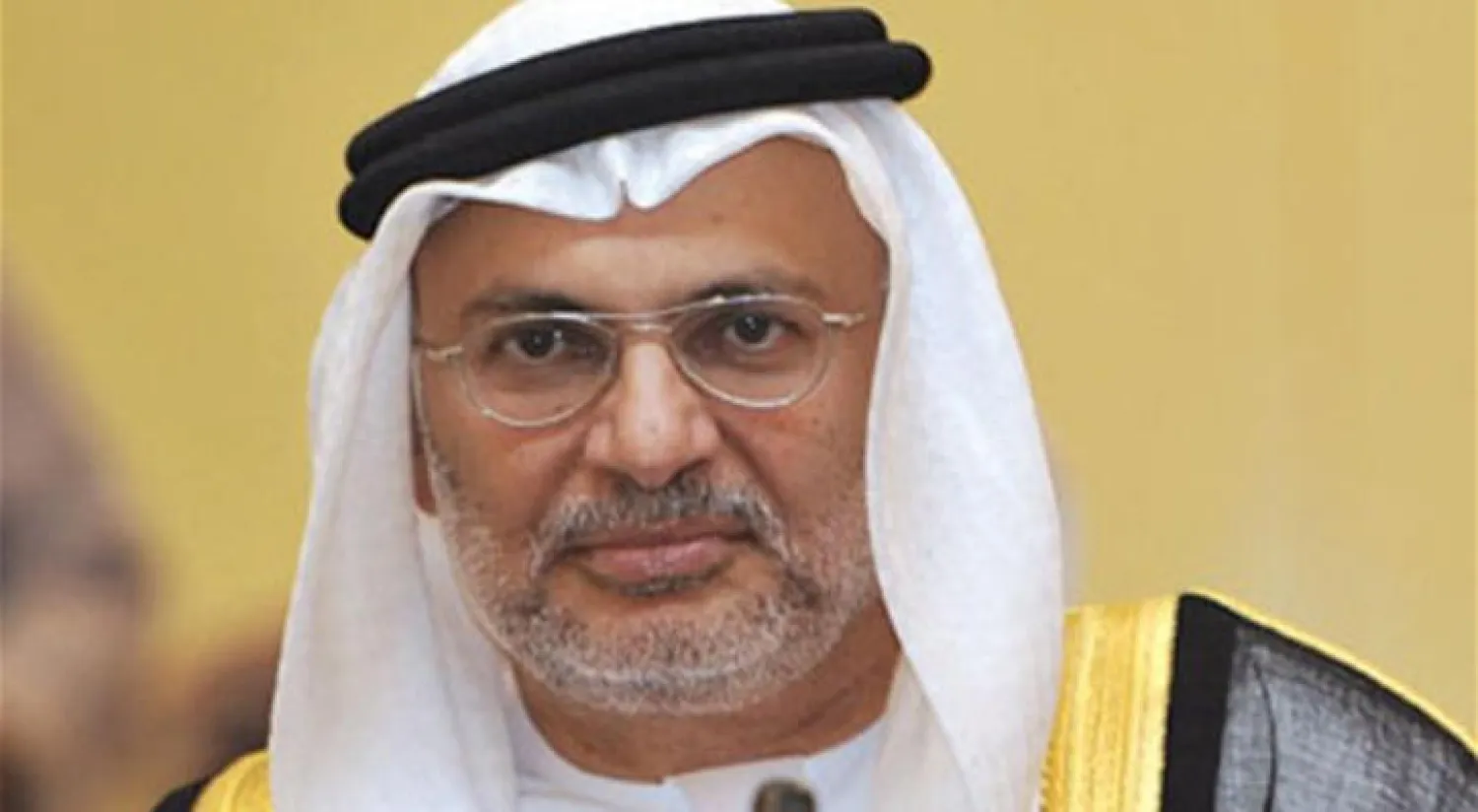 قرقاش لـ «الشرق الأوسط»: مستمرون في حرب اليمن