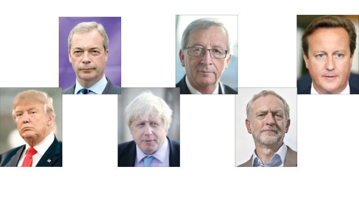 ماذا قالوا عن الاستفتاء؟