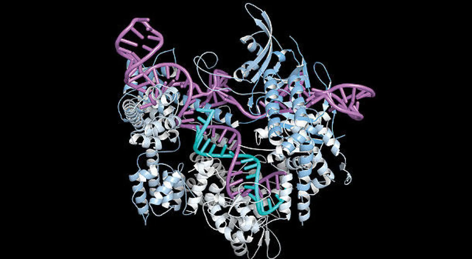 لأول مرة في أميركا: المصادقة على تجارب لتقنية قص الجينات على البشر