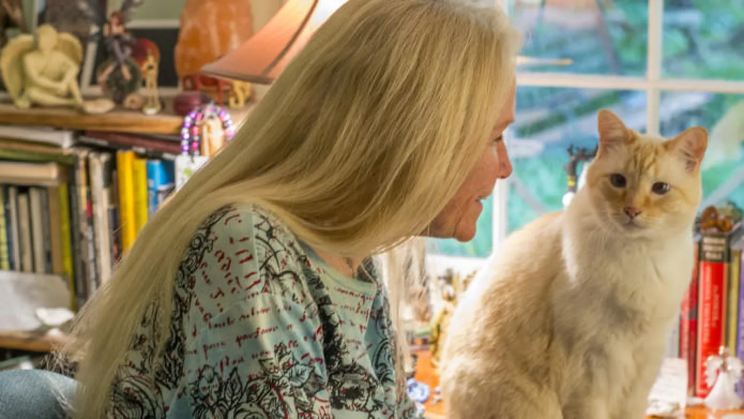 مربو الحيوانات الأليفة أقل عرضة للوفاة بالسكتة الدماغية