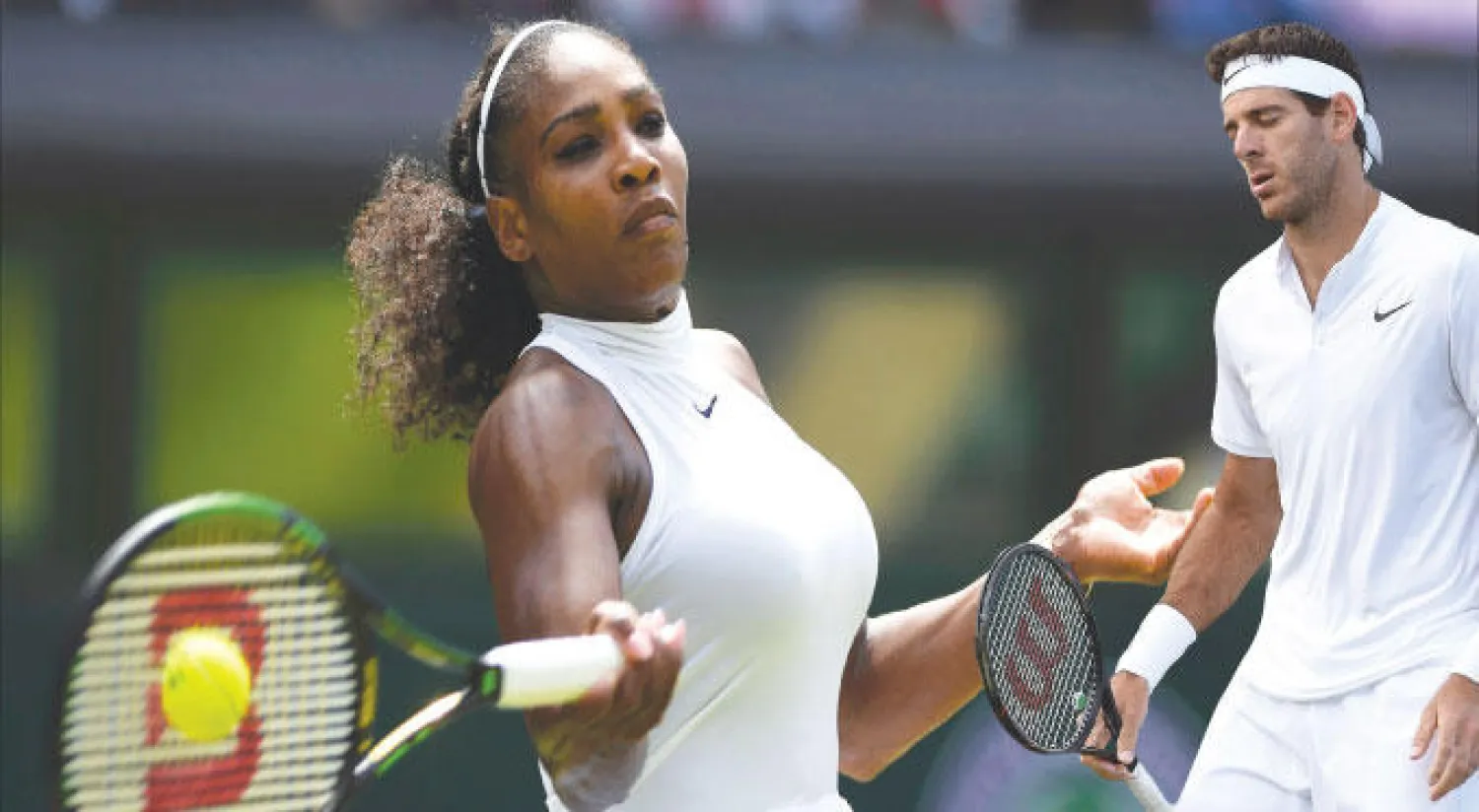 دل بوترو وشعور بالإحباط للخروج من بطولة ويمبلدون (إ.ب.أ) - سيرينا سحقت منافستها الألمانية انيكا في الطريق لربع النهائي (رويترز)