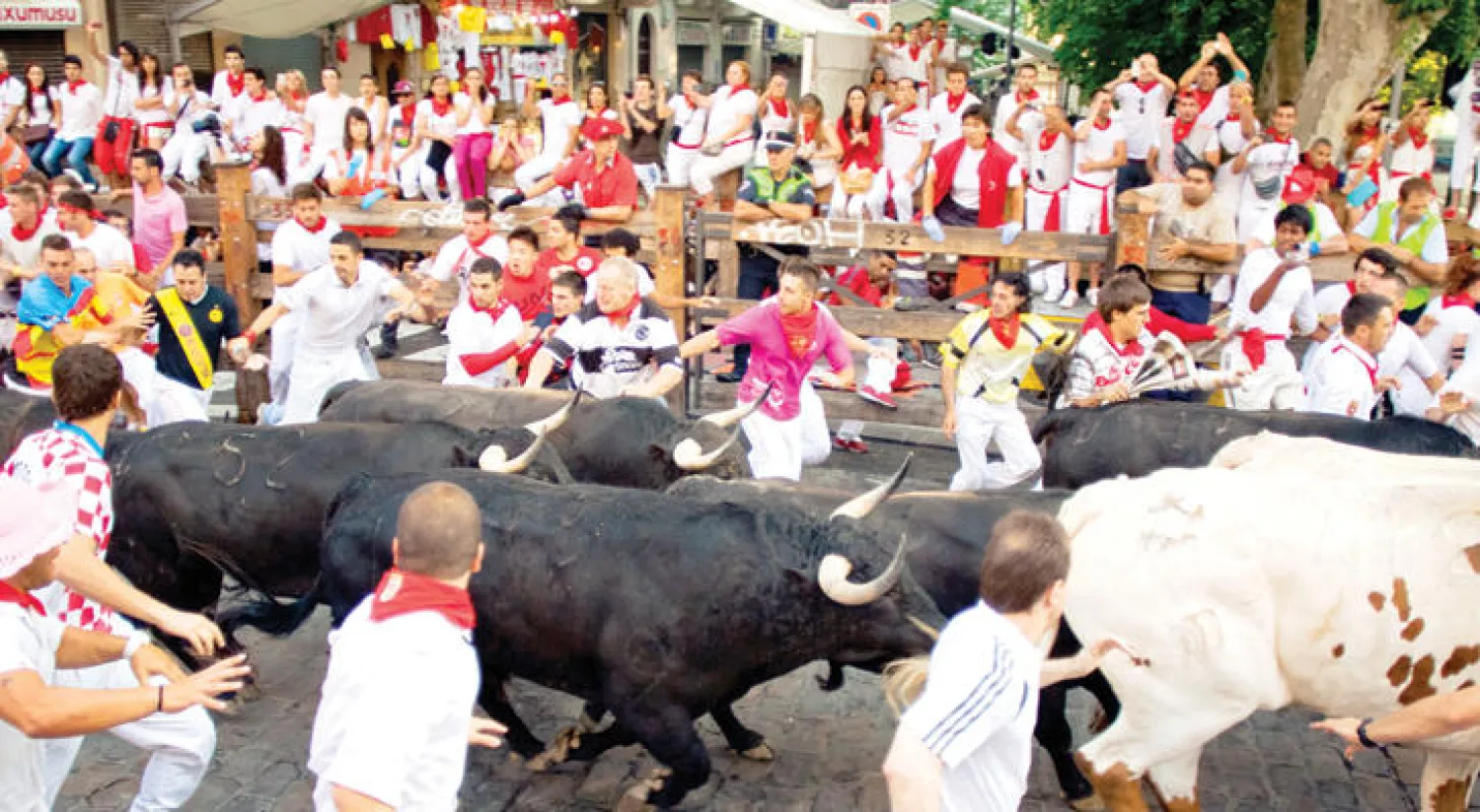 انطلاق «مهرجان سان فيرمين» للثيران في إسبانيا