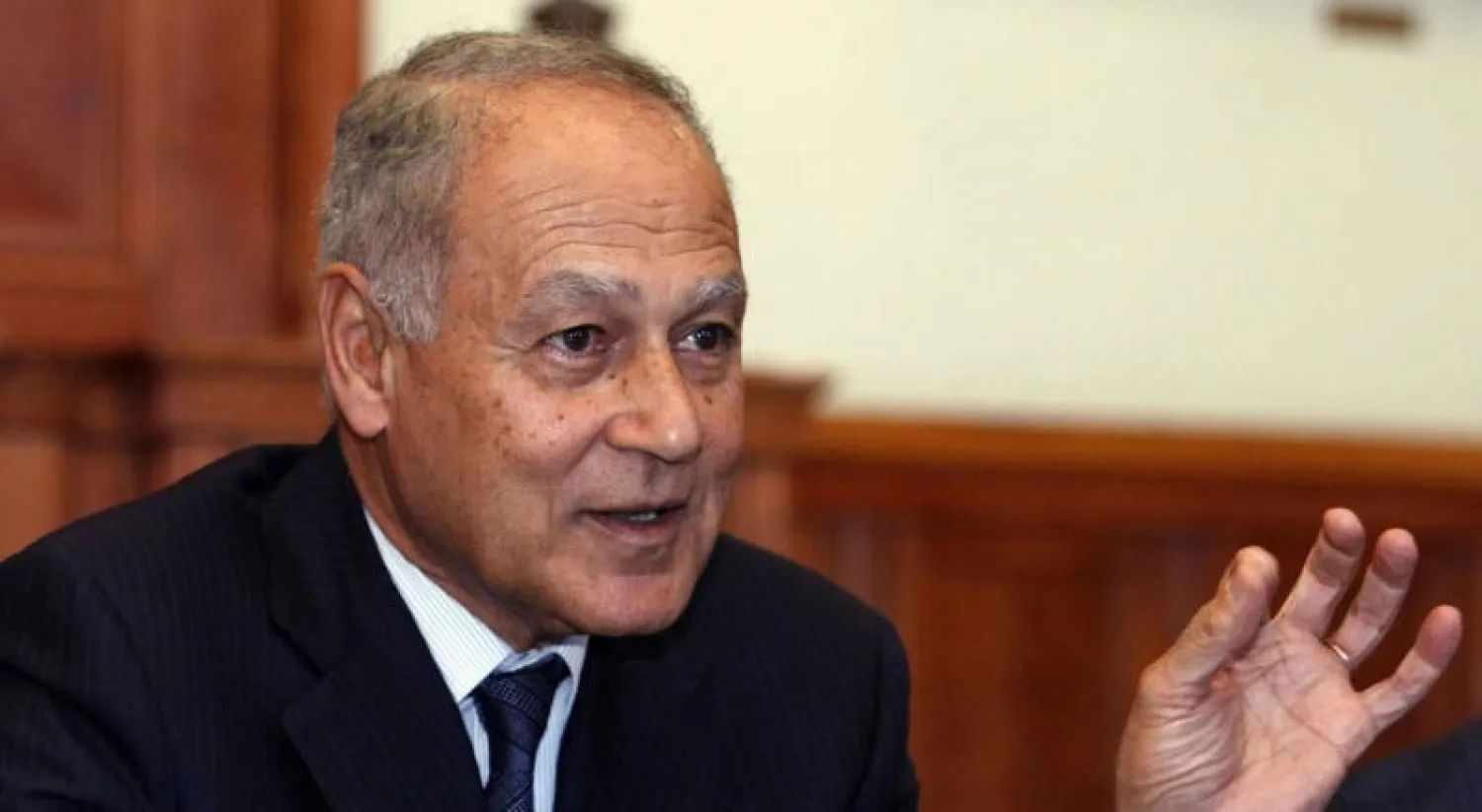 أحمد أبو الغيط