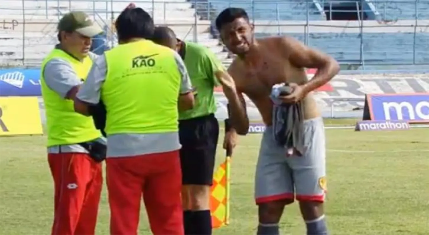 النحل يوقف مباراة كرة قدم في الإكوادور