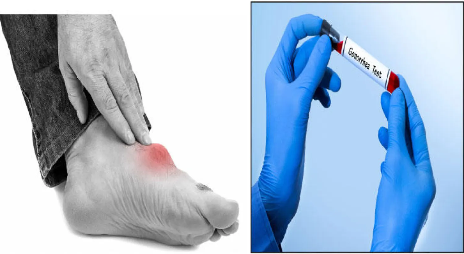 بين الخطأ والصواب