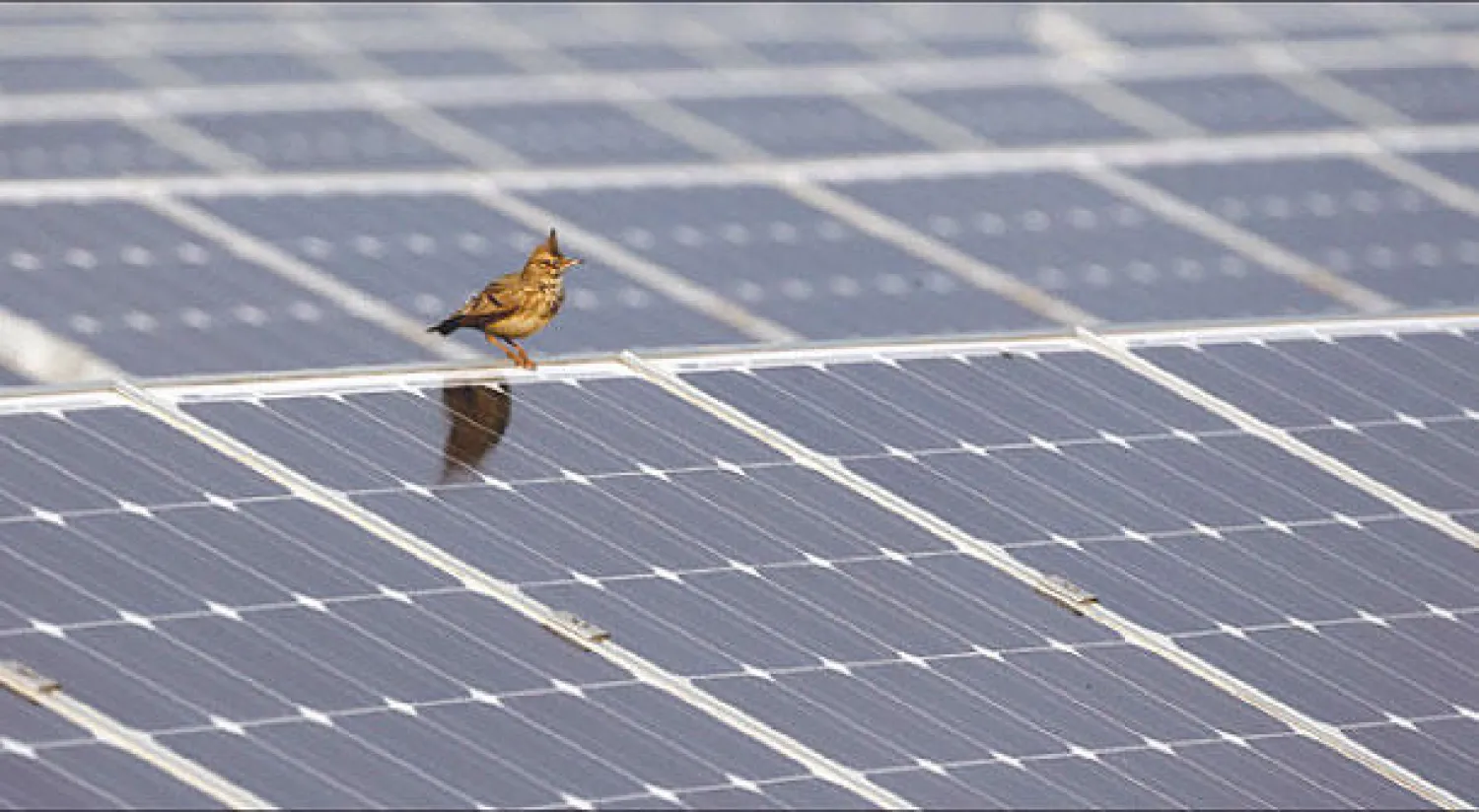 محطات الطاقة الشمسية أحد البدائل الواعدة للطاقة المتجددة في الشرق الأوسط (رويتزر)