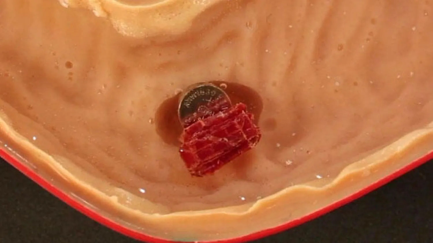 الروبوت متناهي الصغر