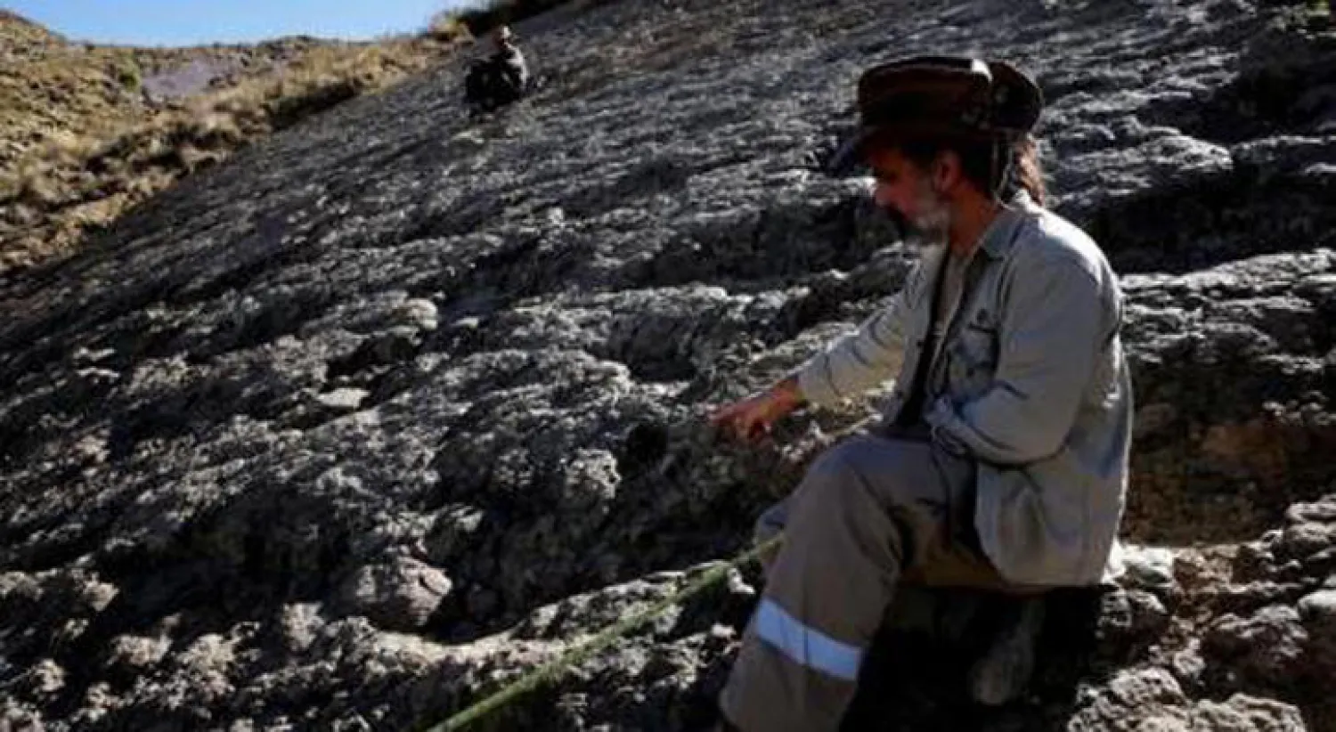 العثور على أثر لقدم ديناصور يزيد عرضها على متر في بوليفيا