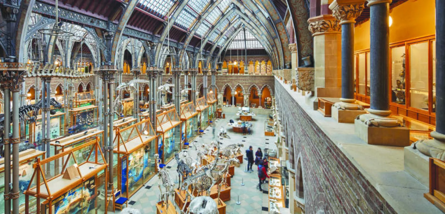 متحف التاريخ الطبيعي التابع لجامعة أوكسفورد