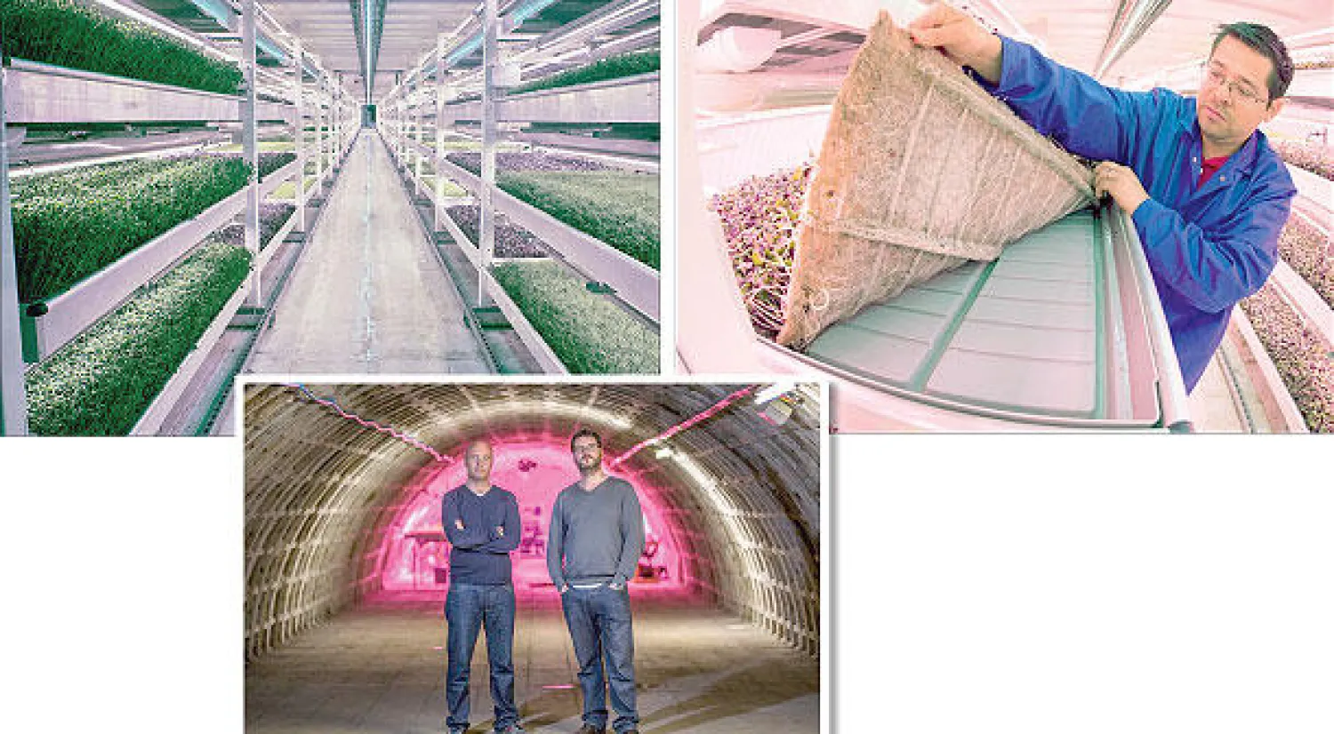 صوانٍ كبيرة على رفوف متراصة فوق بعضها بعضًا - ريتشارد بالارد وستيفن درنغو أمام مدخل المزرعة