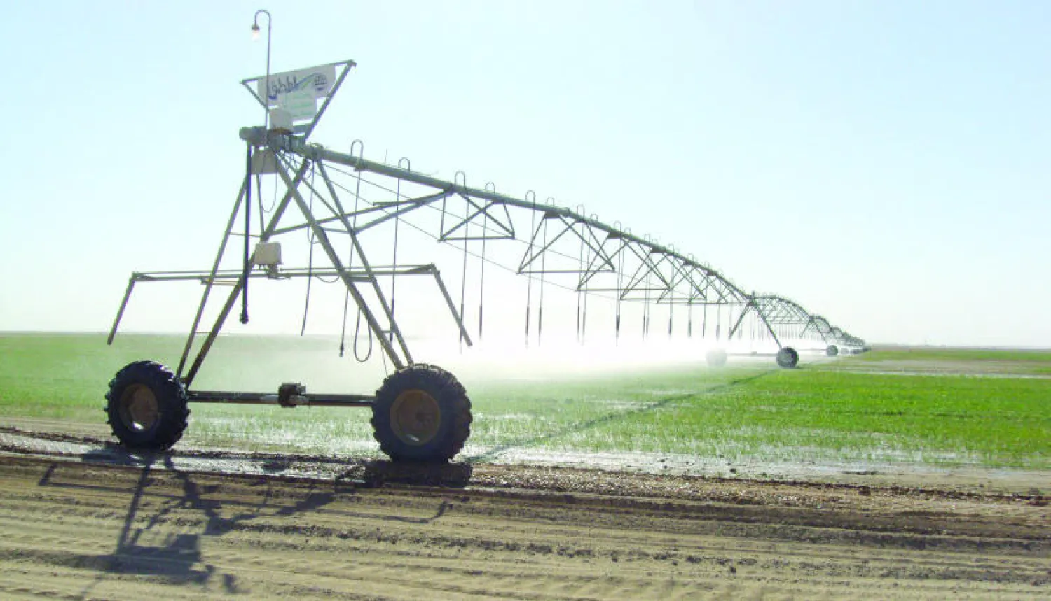 وزارة الاستثمار ألغت نحو 140 ترخيصا استثماريا تبلغ إجمالي قيمة رساميلها ملايين من الدولارات لعدم استيفائها متطلبات وإجراءات الترخيص