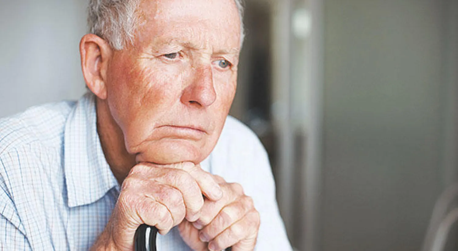 250 مسنا شاركوا في الدراسة