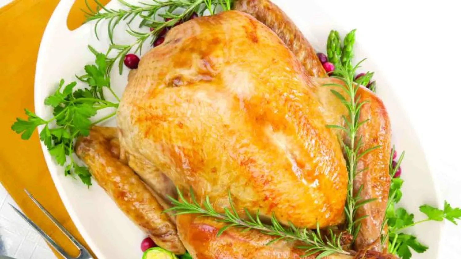 الديك الرومي صدّره البحارة العثمانيون إلى أوروبا فسمي «التركي»