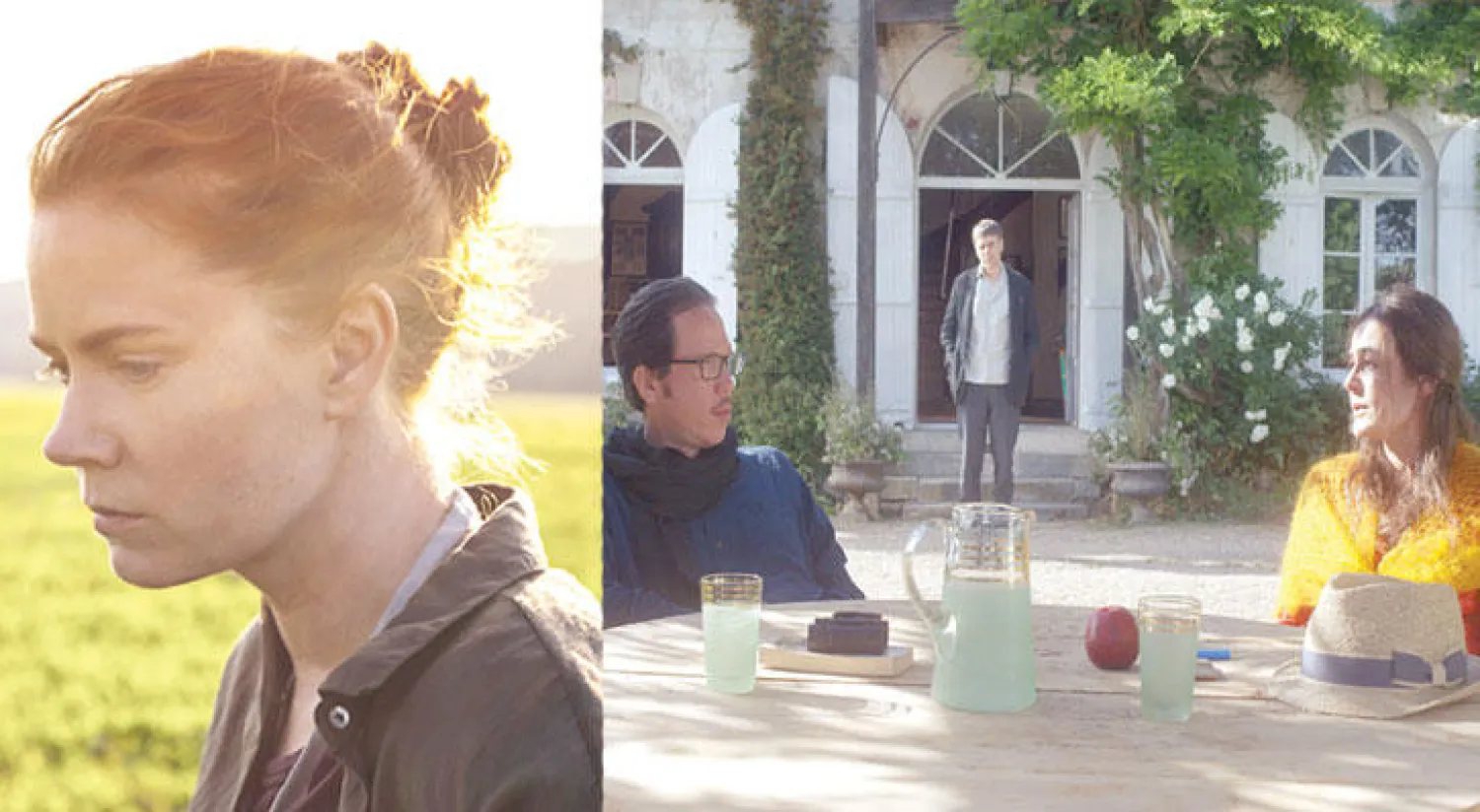 لقطة من فيلم ڤندرز «الأيام الجميلة لأرانجويز»  -  آمي آدامز في «وصول»