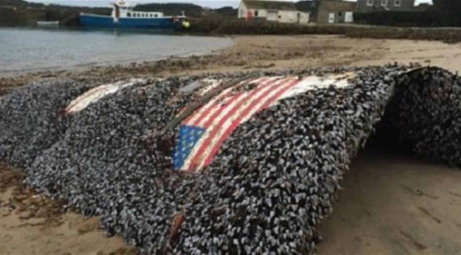 سقوط حطام صاروخ أميركي في جزيرتين إندونيسيتين