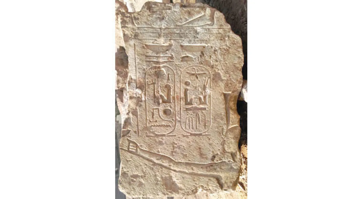 جانب من الأجزاء التي عثر عليها