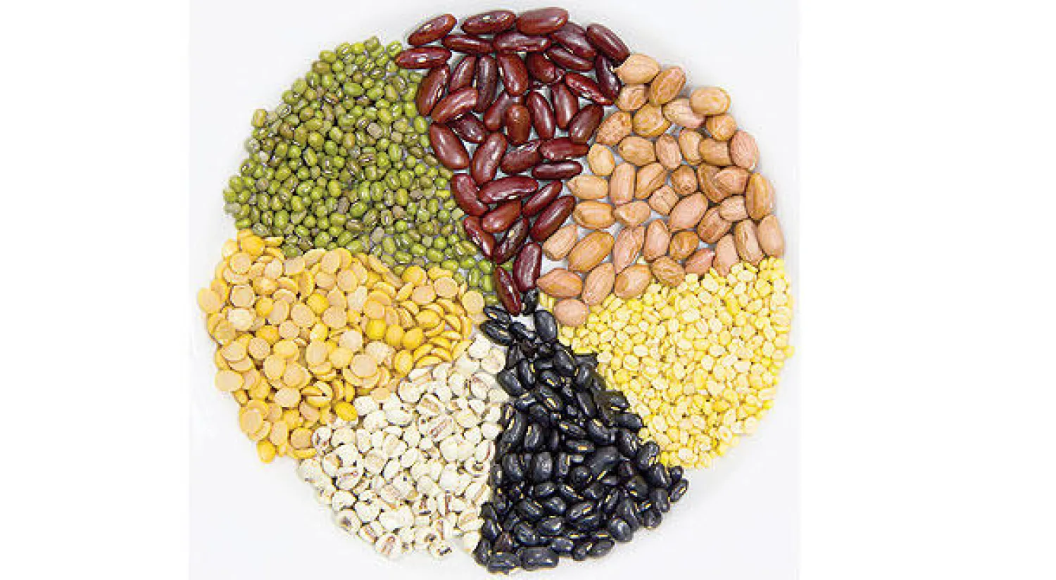 قدرات عظيمة للبروتينات النباتية في إطالة الأعمار