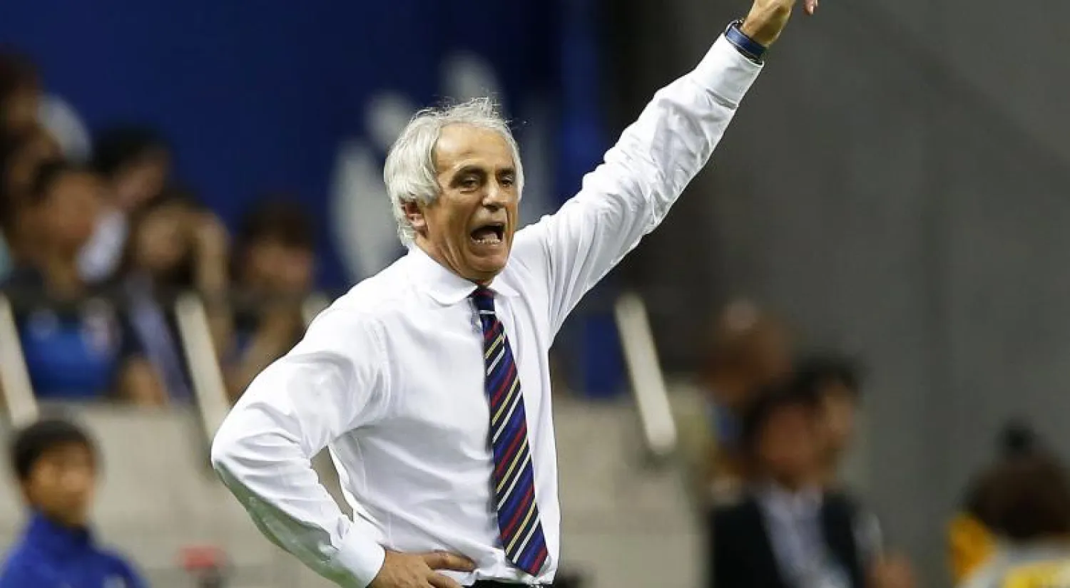 وحيد خليلوجيتش («الشرق الأوسط»)