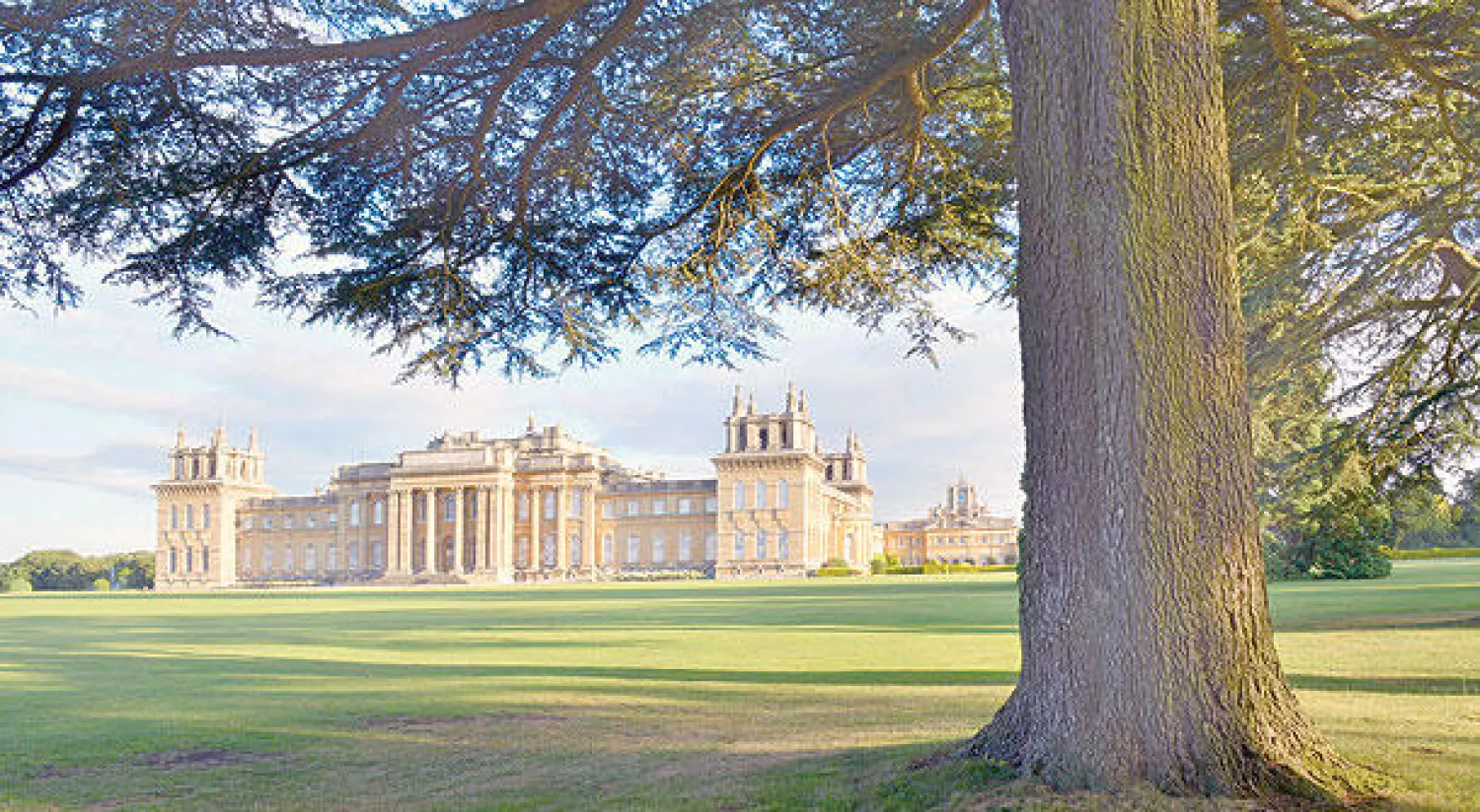 باحات خضراء تحيط بالقصر من جميع الجوانب