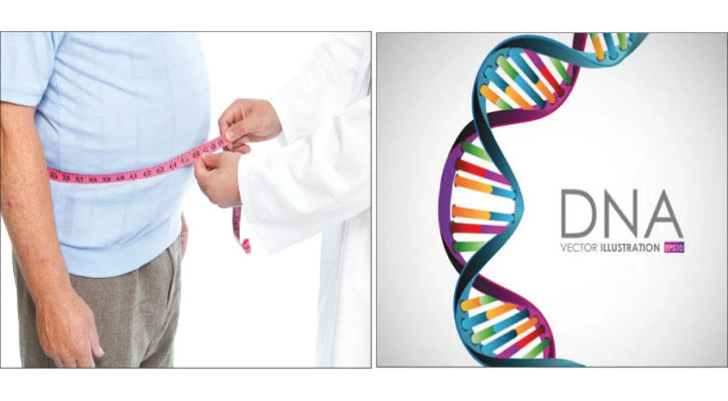 بين الخطأ والصواب