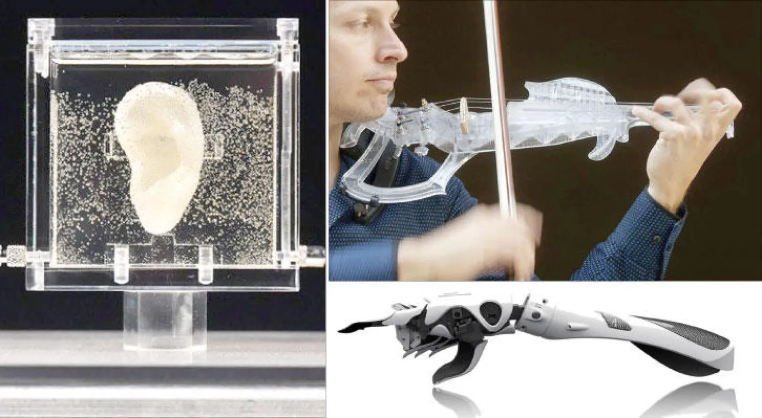 آلة موسيقية مطبوعة  -  نموذج لأذن بشرية مطبوعة  -  يد مطبوعة