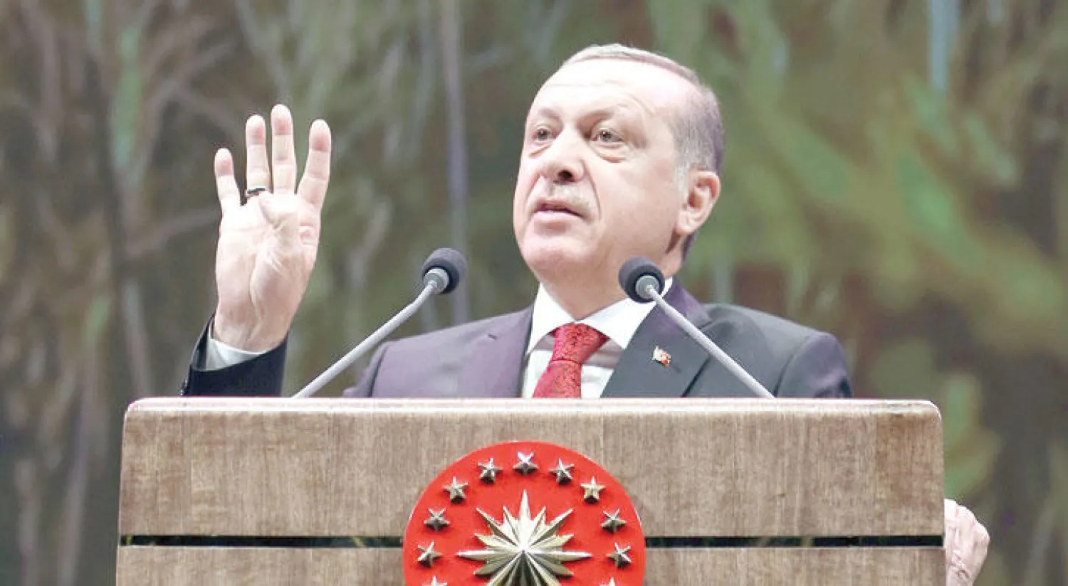 الرئيس التركي رجب طيب إردوغان (إ.ب.أ)