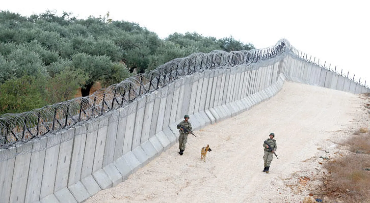 وحدة «ك9» في الجيش التركي تقوم بدورية على طول الجدار الممتد على الحدود بين تركيا وسوريا جنوب شرقي البلاد (رويترز)