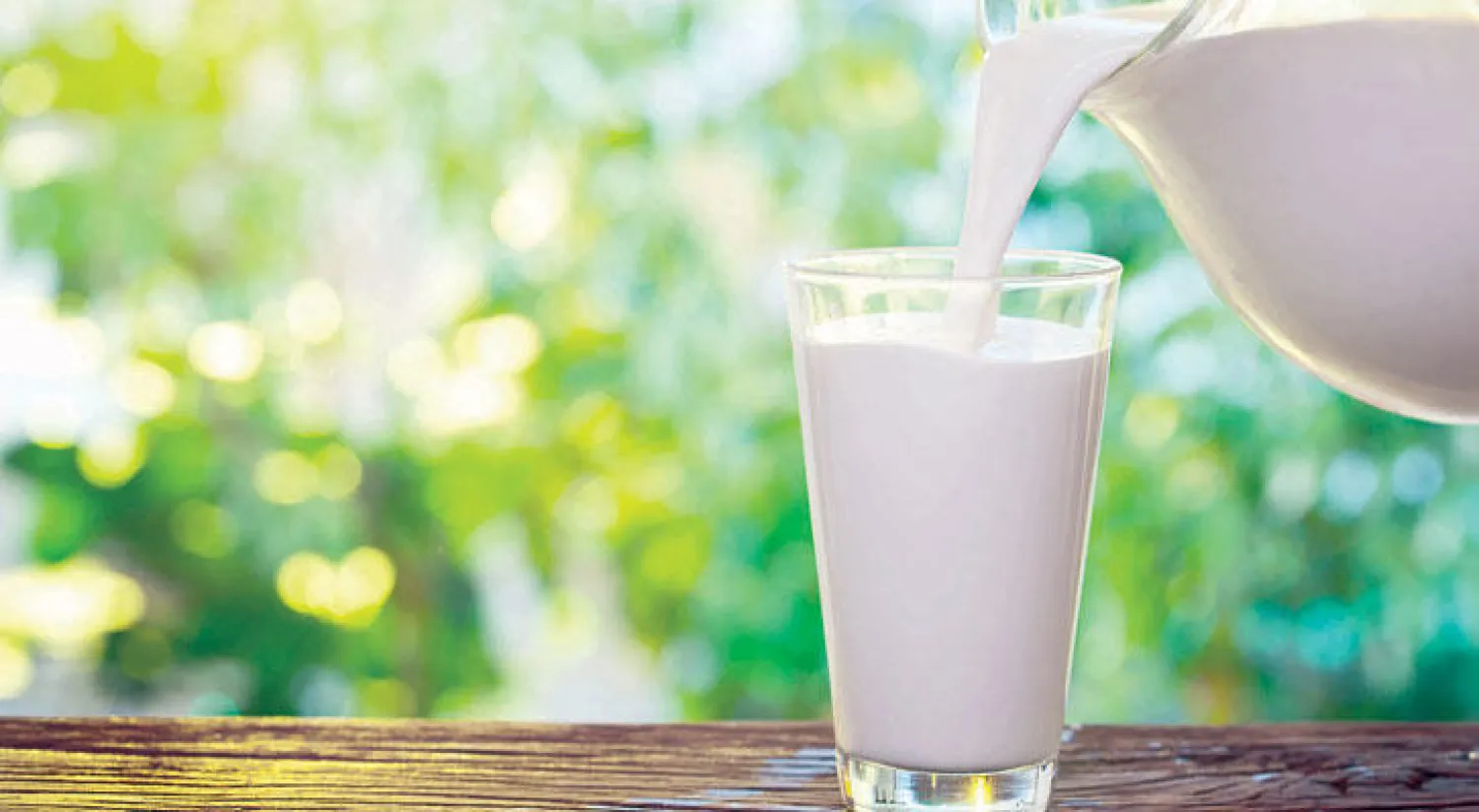 بروتين متميز في الحليب يعزز جهاز المناعة في الجسم